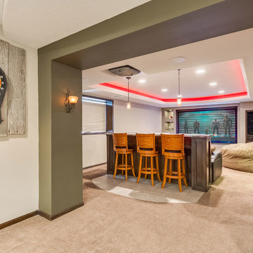 Basement Home Theater Entry