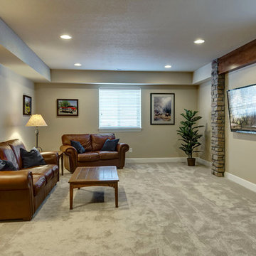 Basement Home Theater