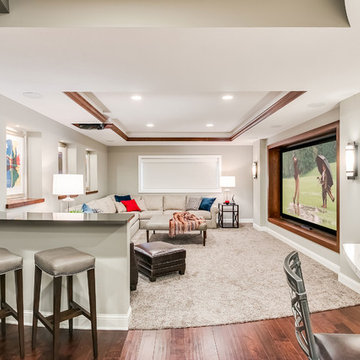 Basement Home Theater