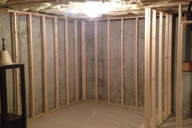 Medium sized traditional look-out basement in New York with beige walls and carpet.