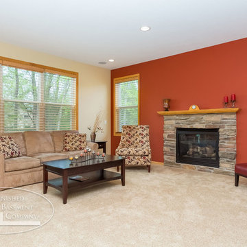 Basement Living Room & Fireplace