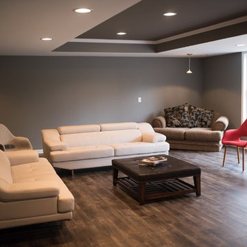 Basement Living Room