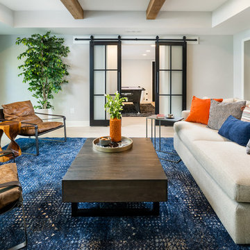 Basement living room