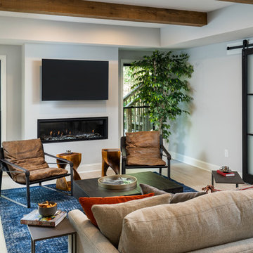 Basement living room