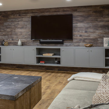 Basement Media Room