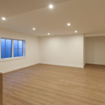 Basement Rec Room