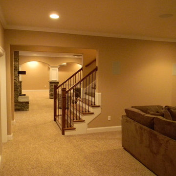 Basement Remodel