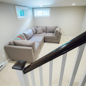 Basement remodel