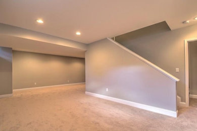 Basement photo in Other