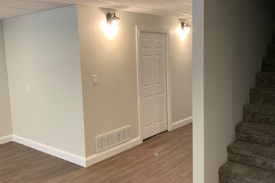 Basement - traditional basement idea in Other