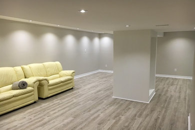 Photo of a modern basement in Toronto.