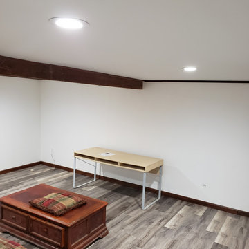 Basement remodel