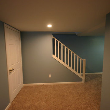 Basement Remodel