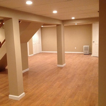 Basement Remodeling Project