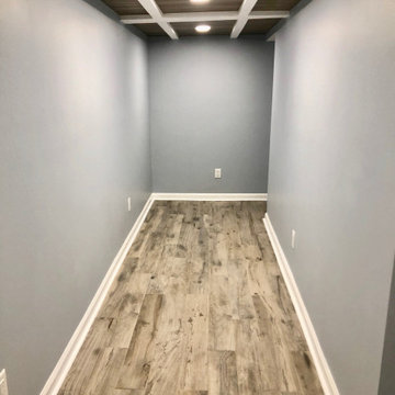 Basement Renovation