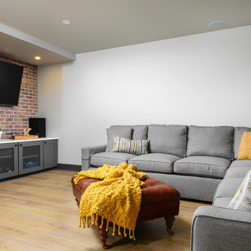 Basement Transformation