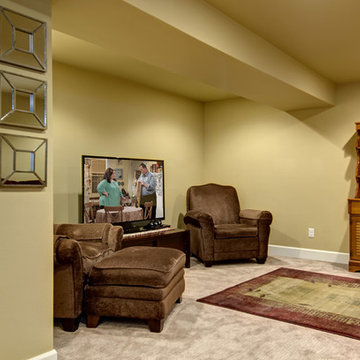 Basement TV and Seating