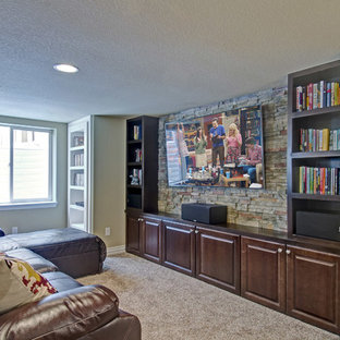 Basement Tv Wall | Houzz