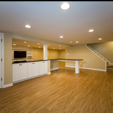 Berwyn New Basement for Young Family