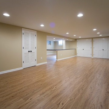 Berwyn New Basement for Young Family