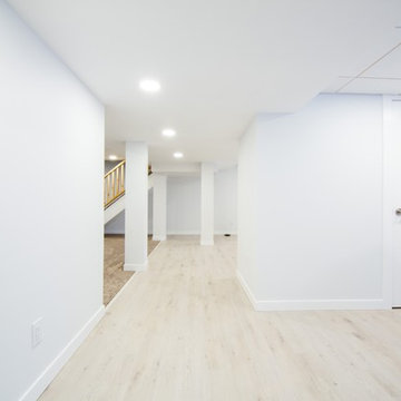 Bright and Spacious Basement