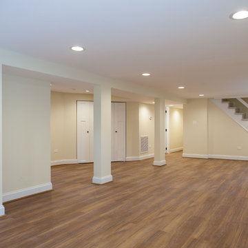 Chicago Basement Renovation