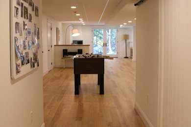 Example of a transitional basement design in Boston
