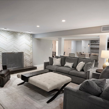 Contemporary Basement