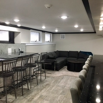 Contemporary Basement Remodel