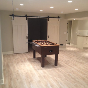 Contemporary Basement Remodel