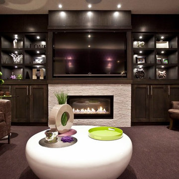 Contemporary Basement