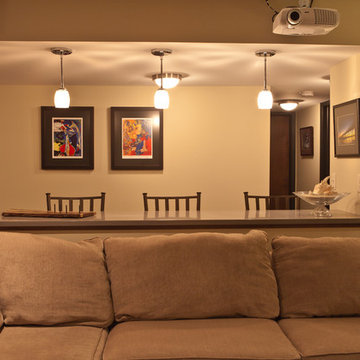 Contemporary Lower Level