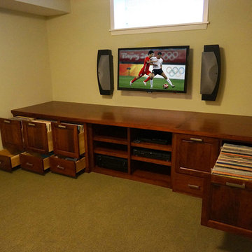 Custom Audio/Video/Vinyl Records cabinet