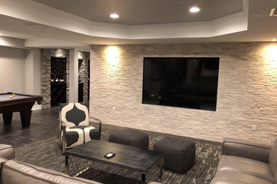 Basement - mid-sized modern walk-out porcelain tile and black floor basement idea in New York with gray walls