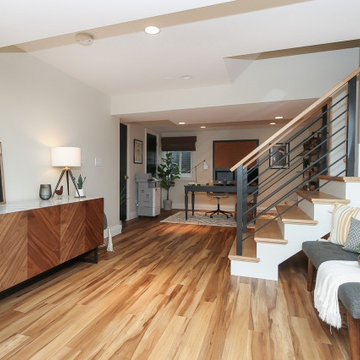 Deer Park Mid Century Modern Basement