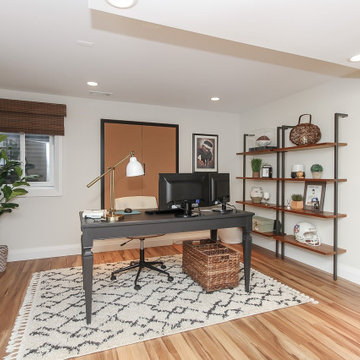 Deer Park Mid Century Modern Basement