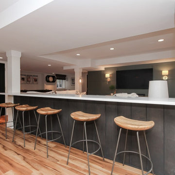 Deer Park Mid Century Modern Basement