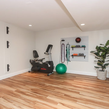 Deer Park Mid Century Modern Basement