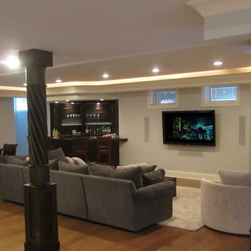 Elmhurst, IL Basement Tranformation