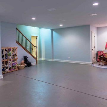 Family Basement Rec Room & Bath