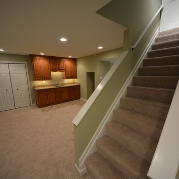 Traditional Basement