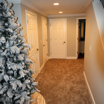 Grayslake Basement Flooring & Carpet