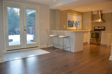 Example of a mid-sized transitional look-out laminate floor basement design in Toronto with beige walls