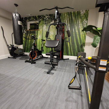 Home Gym - exercise room in the basement