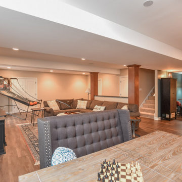 Kildeer Basement Remodel
