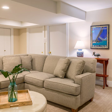 Lake Michigan Inspired Basement