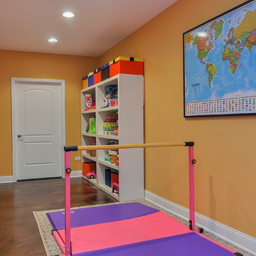Laura's Basement Remodel