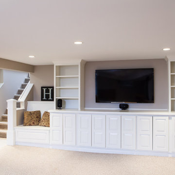 Libertyville Basement