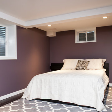Libertyville Basement