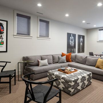 Lincoln Park Basement